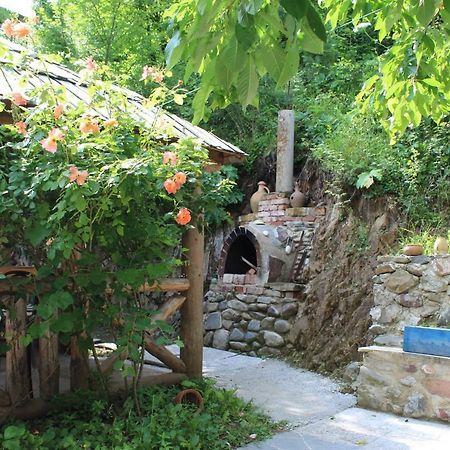 Nikala'S House Hotel Borzsomi Kültér fotó