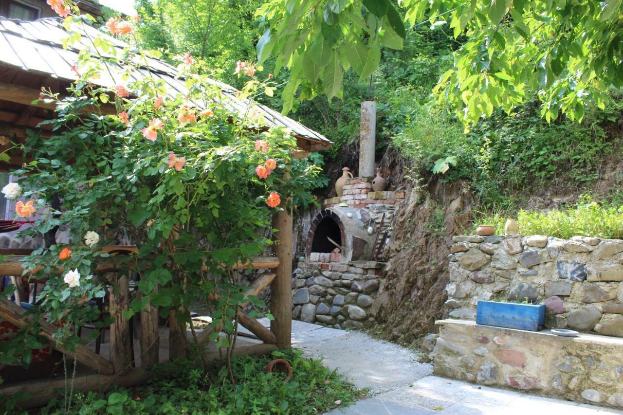 Nikala'S House Hotel Borzsomi Kültér fotó